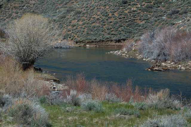 the West Walker River